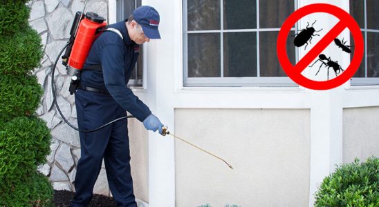 Çeltikçi Hamam Böceği İlaçlama böcek ilaçlama ve haşere kontrolü — ilaclama-tr.com